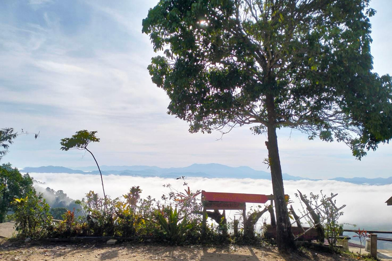 Khao Lak: Hav av dimma på kullen &amp; soluppgång vid Khao Khai Nui