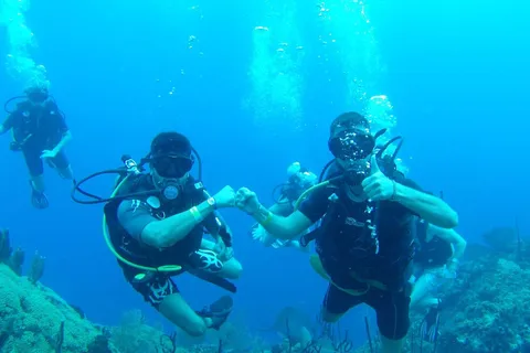 immersioni senza brevetto isola catalina da punta cana