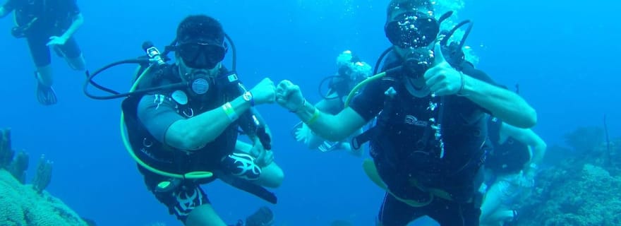 plonger sur l'ile catalina depuis punta cana