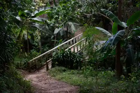 Arusha: Visita al pueblo de Meru (a pie o en bicicleta)