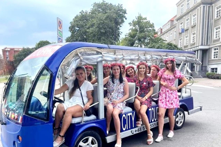 Danzig: VIP Stadtführung Golf Cart 2h+Gradowa Hill View PointDanzig: VIP City Sightseeing Tour Golf Cart 2h+Gradowa Hügel