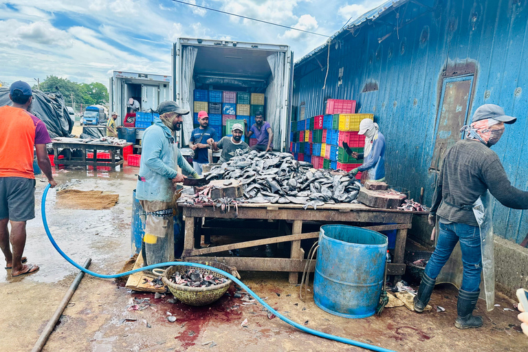 Negombo City Explorer Adventure by Tuk-Tuk (Included Pickup)