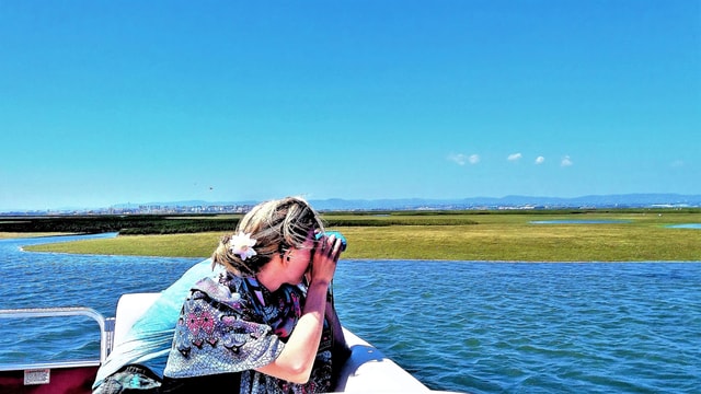 Faro: Ria Formosa Boat Tour