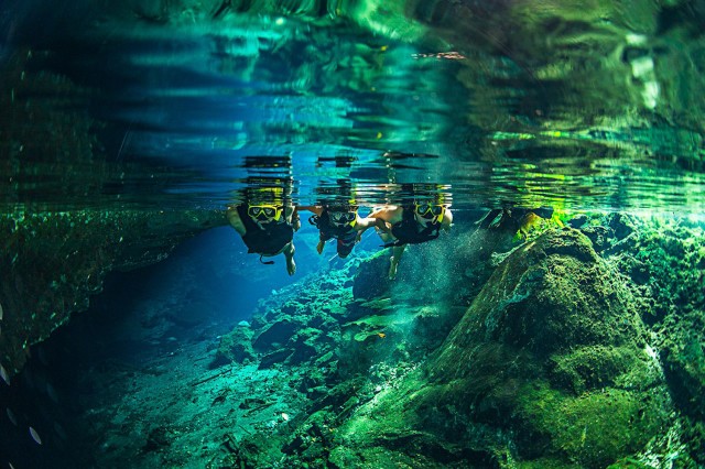 Visit Riviera Maya and Cancun: Jungle Maya Adventure with Cenotes in Paris