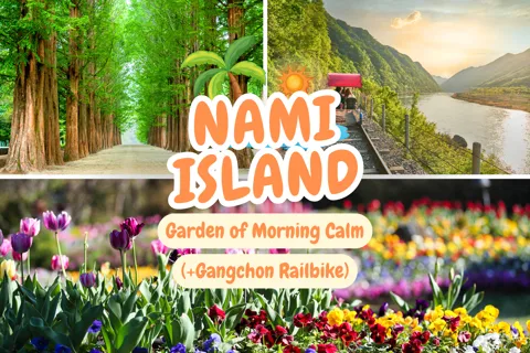 Seoul: Nami Island and Garden of Morning Calm (+Railbike)