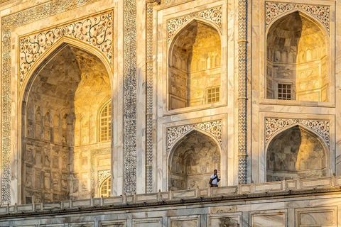 Agra: Tour SOS all&#039;alba del Taj Mahal e della fauna selvatica degli elefantiTour privato con biglietti d&#039;ingresso e pranzo