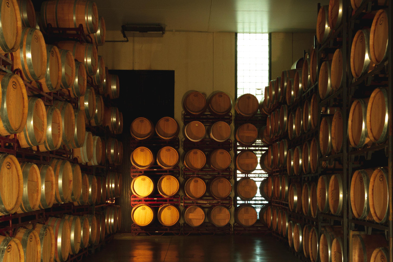 Alicante (Pinoso): Tour Experiencia Volver del Viñedo a la copa (Zurück vom Weinberg ins Glas)