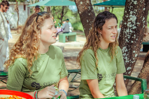 Zanzibar: 4-Day Mid-Range Safari Special for Honeymooners