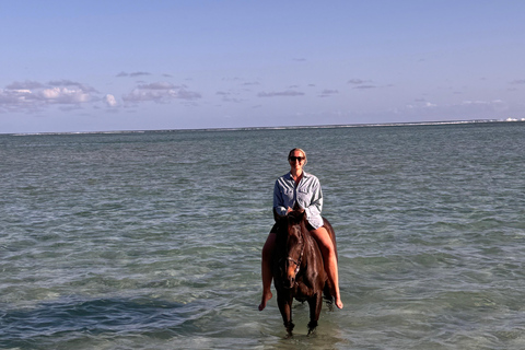 Descubriendo el sur. Paseos a caballo por la playa, excursiones a cascadas.