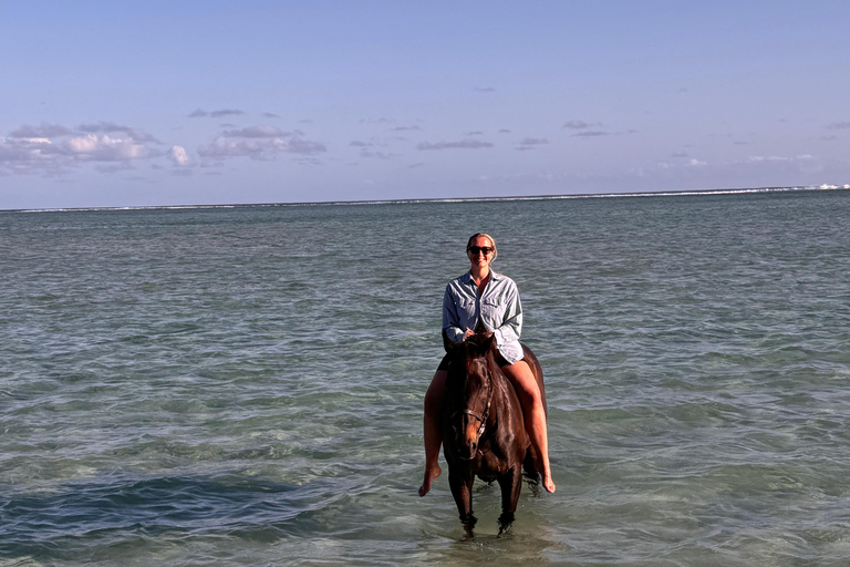 Descubriendo el sur. Paseos a caballo por la playa, excursiones a cascadas.