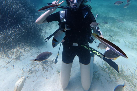 Mahdia: Guided Medina Tour and Scuba Diving Experience