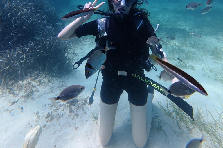 Mahdia: Guided Medina Tour and Scuba Diving Experience