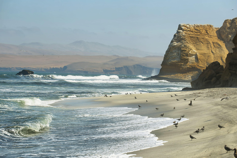 From Lima: Visit Paracas, Ballestas Islands, Huacachina and Vineyard in Ica.