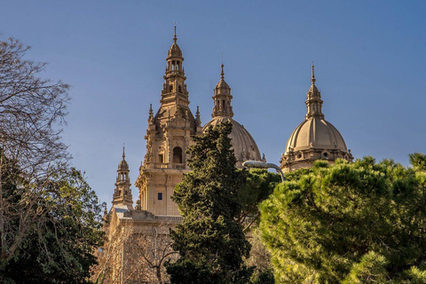Visite guidée privée à pied de Barcelone