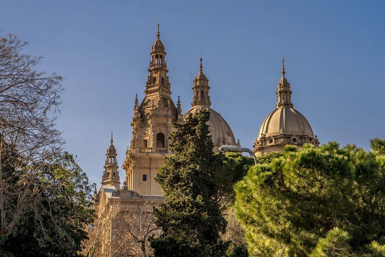 Visite guidée privée à pied de Barcelone