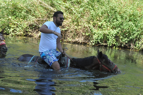 Icmeler Horse Riding Through The Rivers and Forest