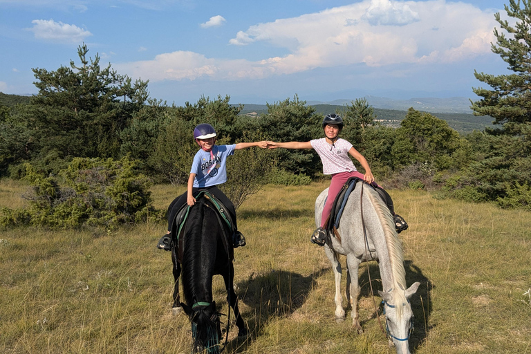 Horseback riding in Provence Luberon