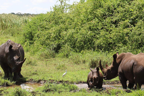 From Nairobi: Meru, Bisanadi, and Rhino Sanctuary Safari