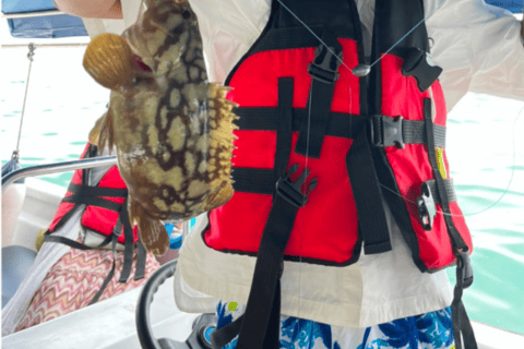 Langkawi: Kilim Geoforest Mangrove Tour with Fishing Trip Mangrove tour & Fishing 1-9 person