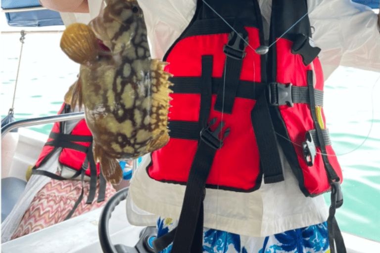 Langkawi: Kilim Geoforest Mangrove Tour with Fishing Trip Mangrove tour & Fishing 1-9 person