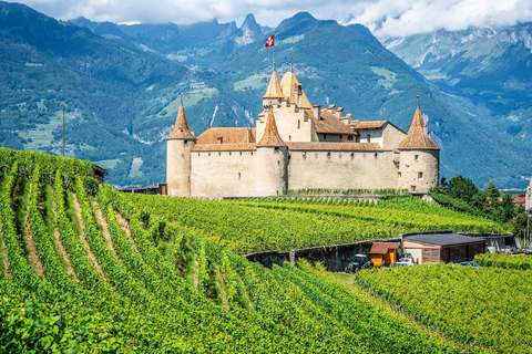 Escursione privata di un giorno: Losanna a Vevey, Montreux e il Castello di Aigle