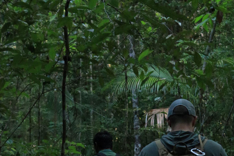 Langkawi: Mount Matchinchang Hiking Tour Hiking Mount Matchinchang