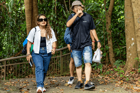 Cingapura: Excursão a pé guiada pelo Faber Peak com café da manhãSingapura: excursão compartilhada da expedição com café da manhã Faber Peak