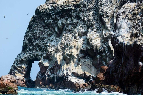 Depuis Lima : Ica - Paracas - Nazca 3D/2N