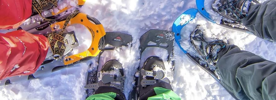 Rovaniemi : Excursion en raquettes avec déjeuner sauvage et prise en charge à l'hôtel