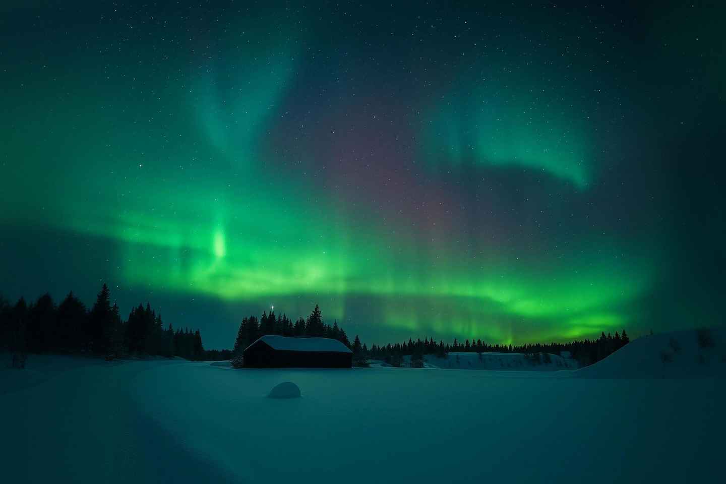 Rovaniemi: Guaranteed Northern Lights Magic Adventure