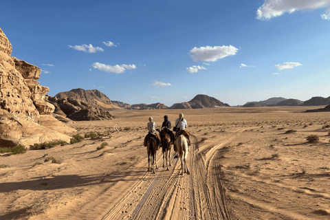 Wadi Rum: Bedouin Camp, Fire Dinner & Desert Experience