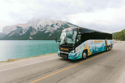 De Calgary: Traslado de ônibus para BanffTransfer de ida dos hotéis do centro de Calgary para Banff