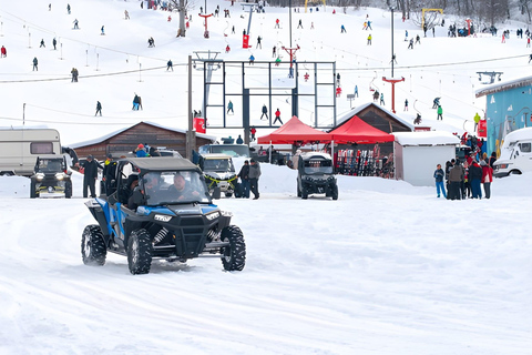 Tbilisi to Borjomi and Bakuriani Ski Resort Day Trip