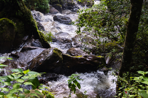 Desde Ciudad de México: tour privado a Valle de Bravo