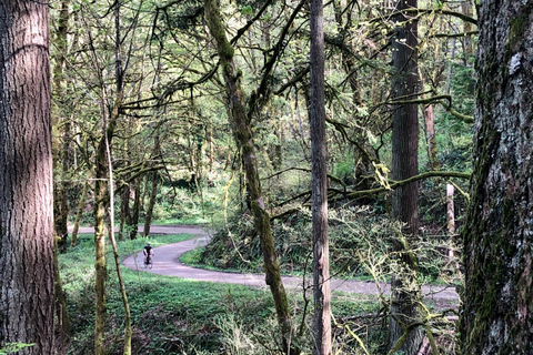 Portland: Forest Park Bike or E-Bike Tour Medium Carbon Gravel Bike (5'7"-5'11" or 170-181cm)