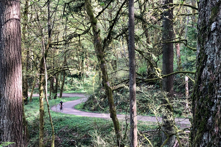Portland: Forest Park Bike or E-Bike Tour Medium Carbon Gravel Bike (5'7"-5'11" or 170-181cm)