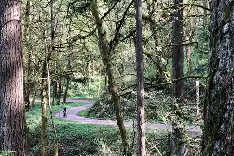 Portland: Forest Park Bike or E-Bike Tour