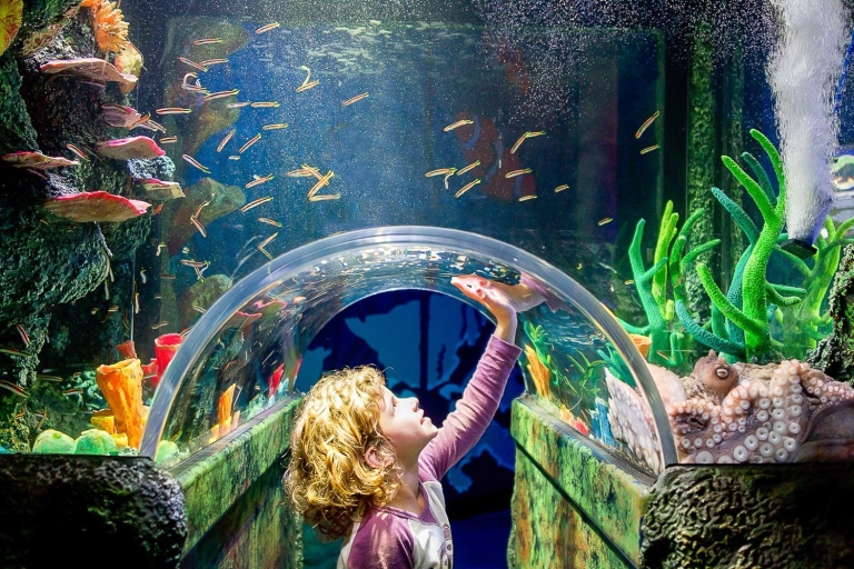 Sydney : billet pour l’aquarium SEA LIFEAquarium Sea Life Sydney : billet standard (haute saison)