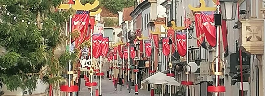 Tomar : Château d'Almourol, Constância, couvent du Christ...