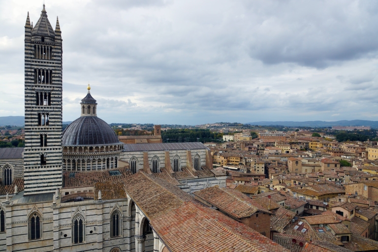 Całodniowa wycieczka do Sieny, San Gimignano i PizyWycieczka w języku angielskim