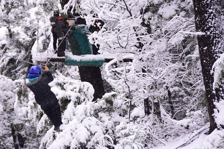 Canopy Half-Day Tour in Bariloche Canopy Half-Day Tour in Bariloche - Morning Departure