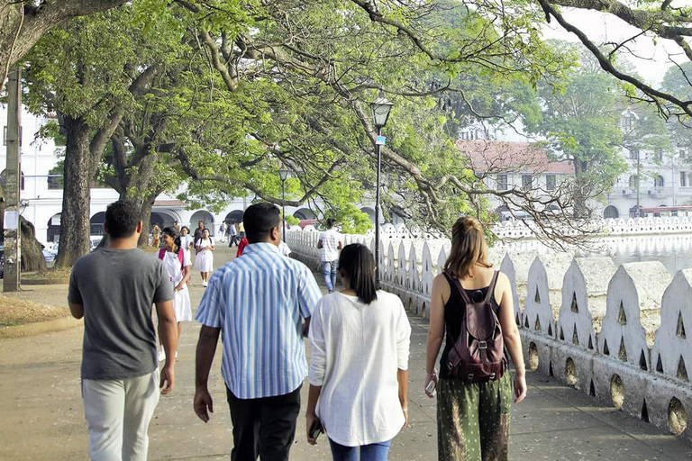 From Colombo: Kandy Temple of the Tooth & Botanical Gardens…