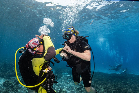 Phuket: Koh Racha Discovery Dive with Optional 2 or 3 Dives 3 Discovery Dives