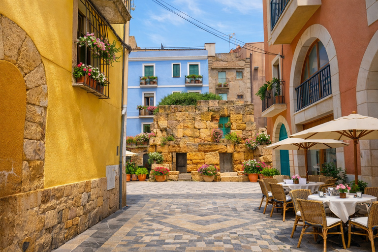 From Barcelona: Tarragona Private Tour with Expert & Driver