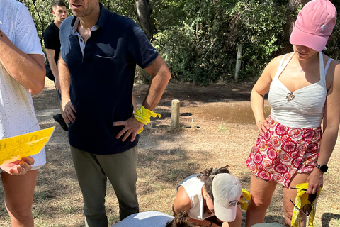 Adventure Game in Provence