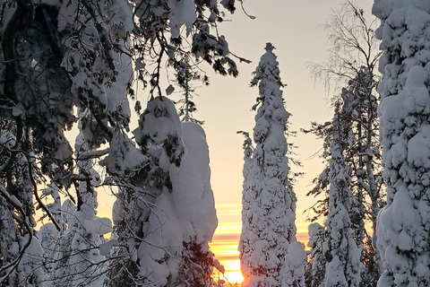 Lapland: A Day at a Traditional Log Cabin & Snowshoe Trek