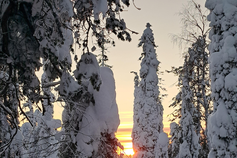 Lapland: A Day at a Traditional Log Cabin & Snowshoe Trek