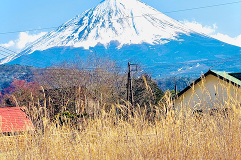 Au départ de Tokyo : Visite d&#039;une jounée privée personnalisable du Mont Fuji