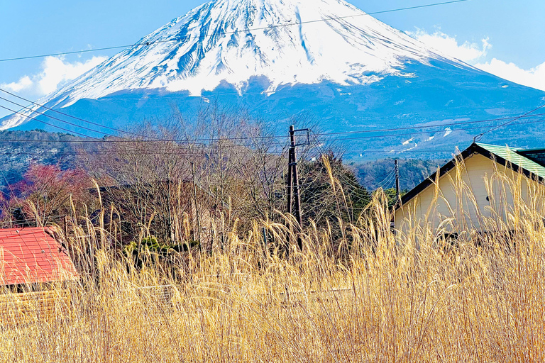 From Tokyo: Mt. Fuji Customizable Full day private Tour