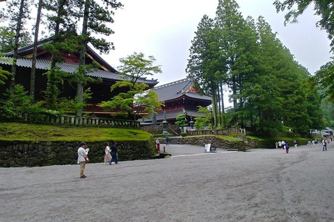 Vanuit Tokio: Nikko Tour met Toshogu schrijn en Kegon watervallen